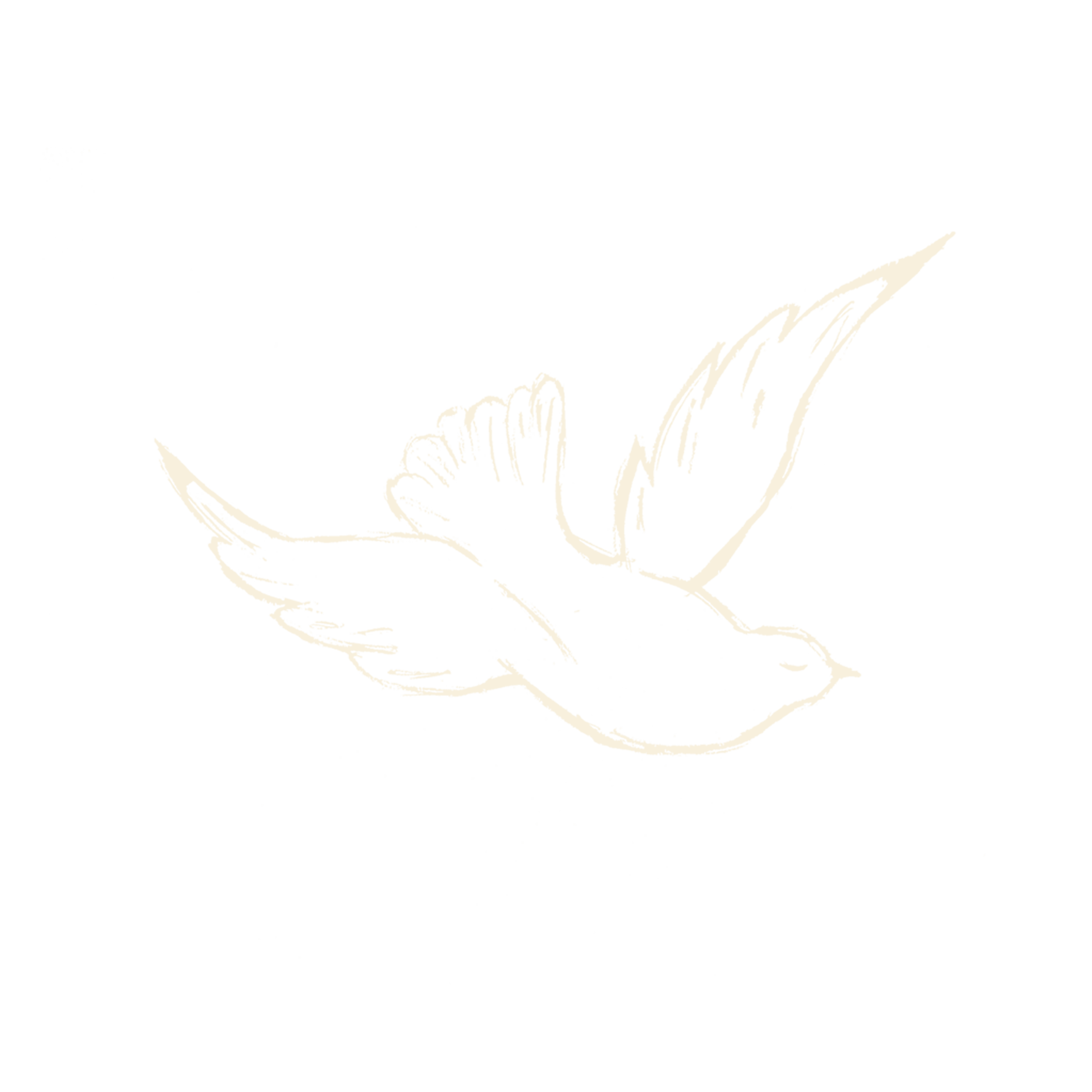 The Dove Design Co.