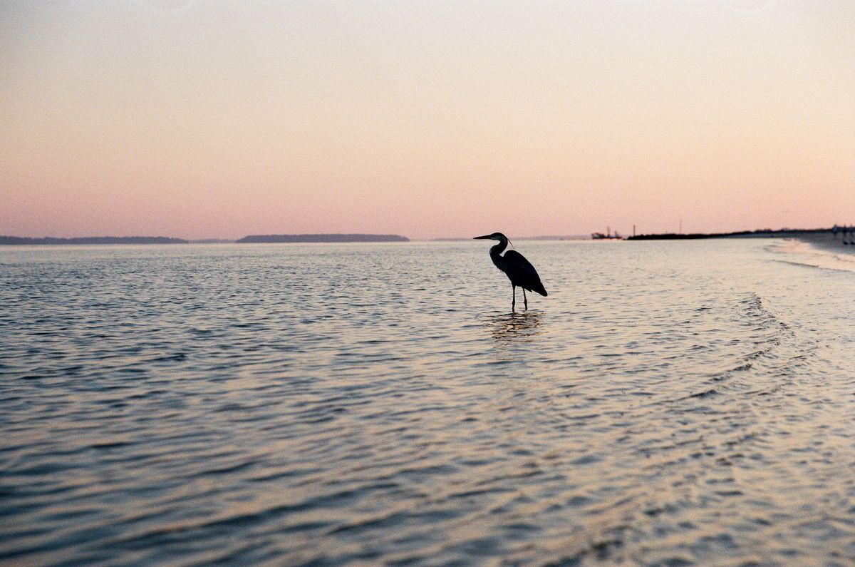 Photography by Justin Lane